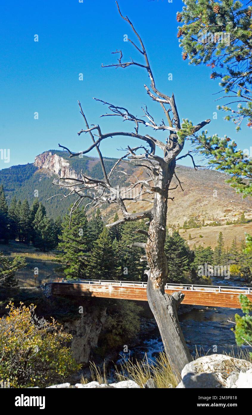 Water Falls at Big Timber Creek Stock Photo Alamy