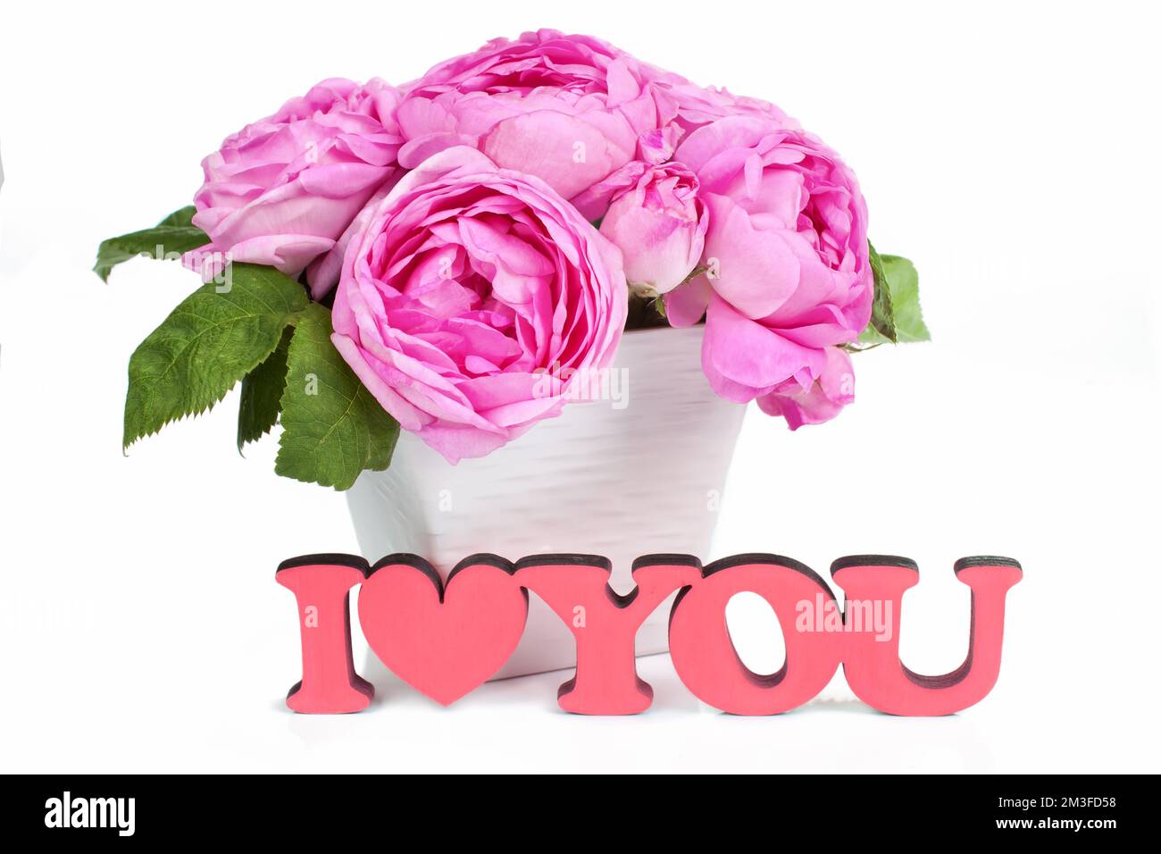 Pink roses in vase isolated on white background and red wooden word Stock Photo