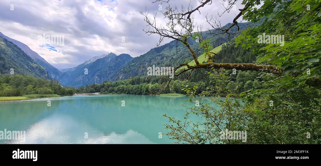 A scenic panoramic view of a lake surrounded by lush green vegetation ...