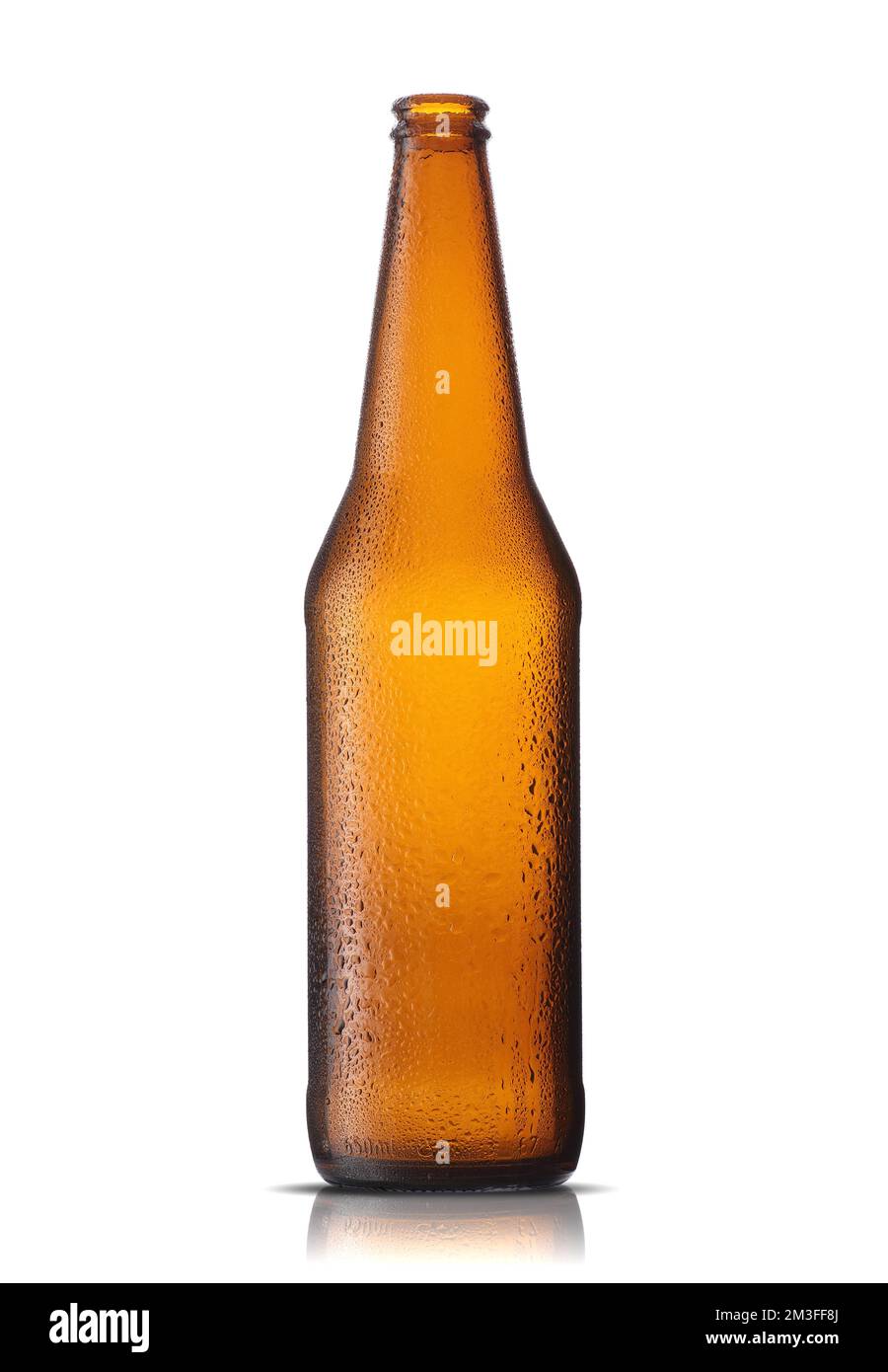 empty beer bottle on white background Stock Photo Alamy