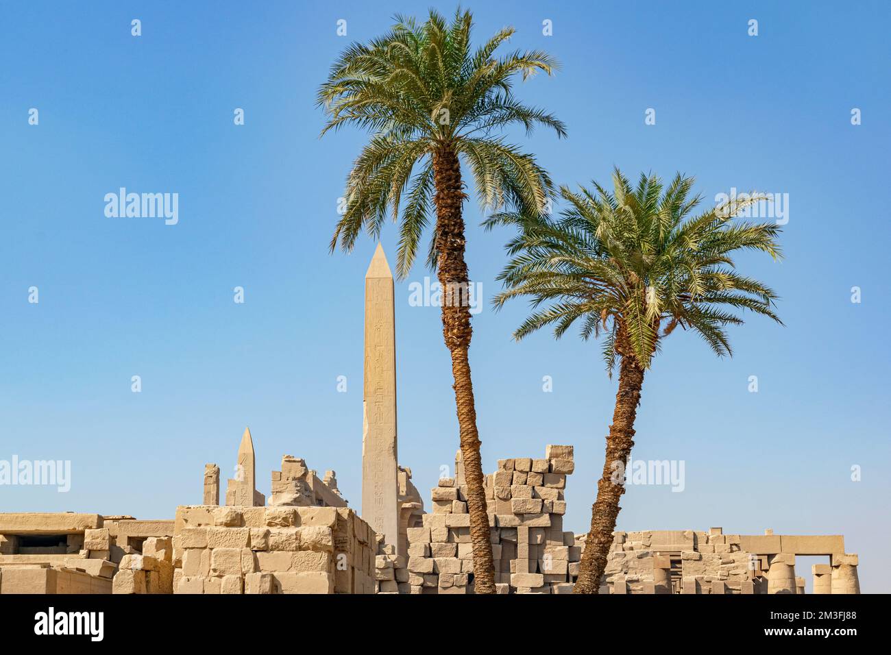 Palma Artificiale Europalms Phoenix Palm Tree Luxor - Pianta Finta Alta 210 Cm, Per Interni Ed Esterni