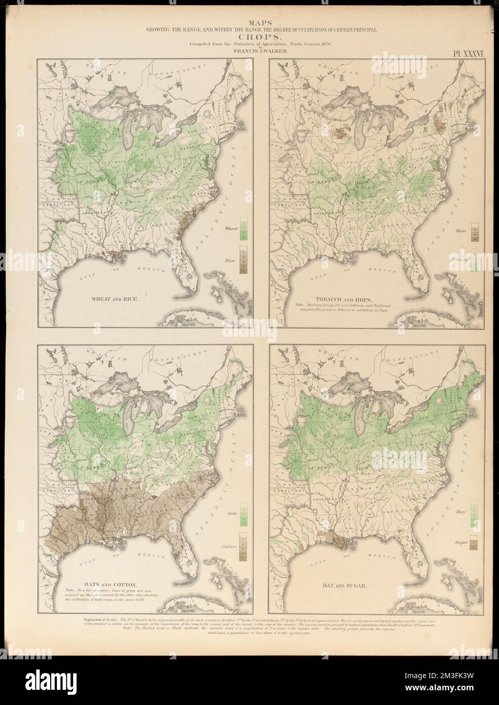 Maps showing the range and within - Maps Showing The Range And Within The Range The Degree Of Cultivation Of Certain Principal Crops Crops United States Maps Agriculture United States Maps Farms United States Maps United States Maps United States Census 1870 Norman B Leventhal Map Center Collection 2M3FK3W 