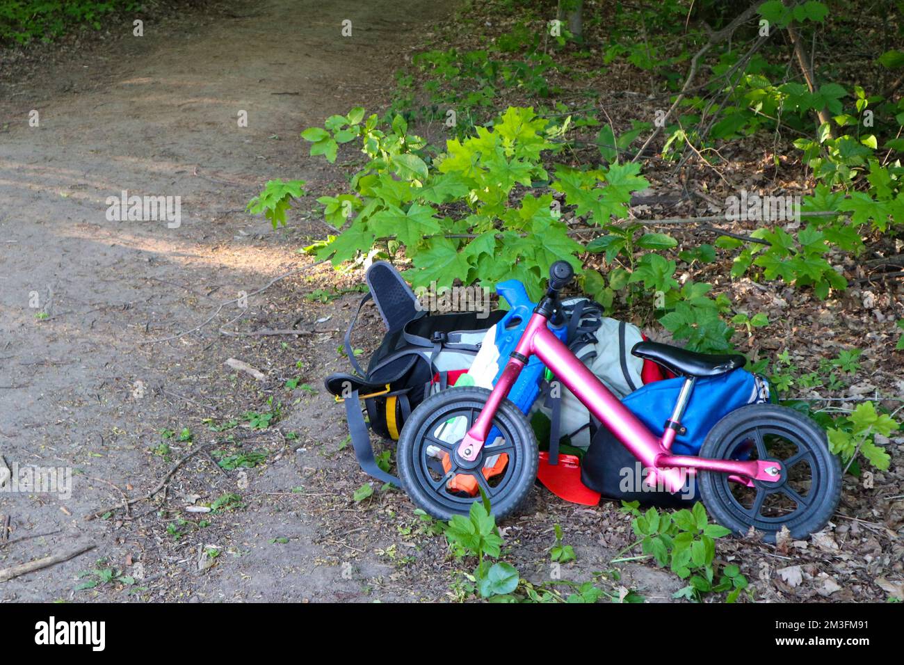 pink running bike and backpacks. a walk in the woods in summer Stock Photo