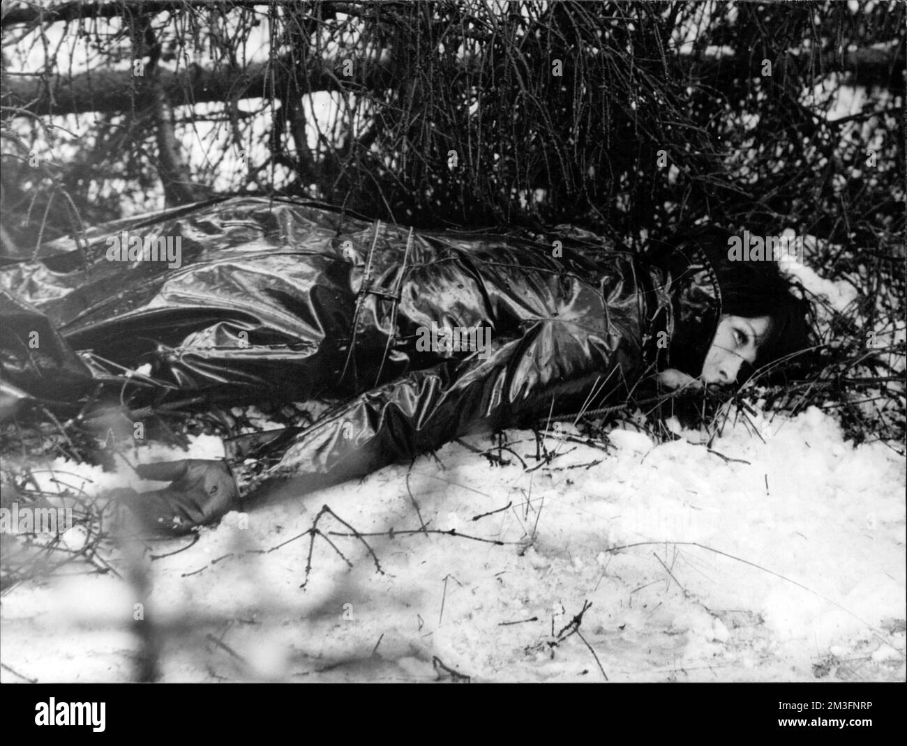 Dem Täter auf der Spur "Frau gesucht" - Die Polizei hat die Spuren im Wald verfolgt und findet unter einer umgestürzten Tanne die Leiche von Edith Buffett (Barbara Rütting) Stock Photo