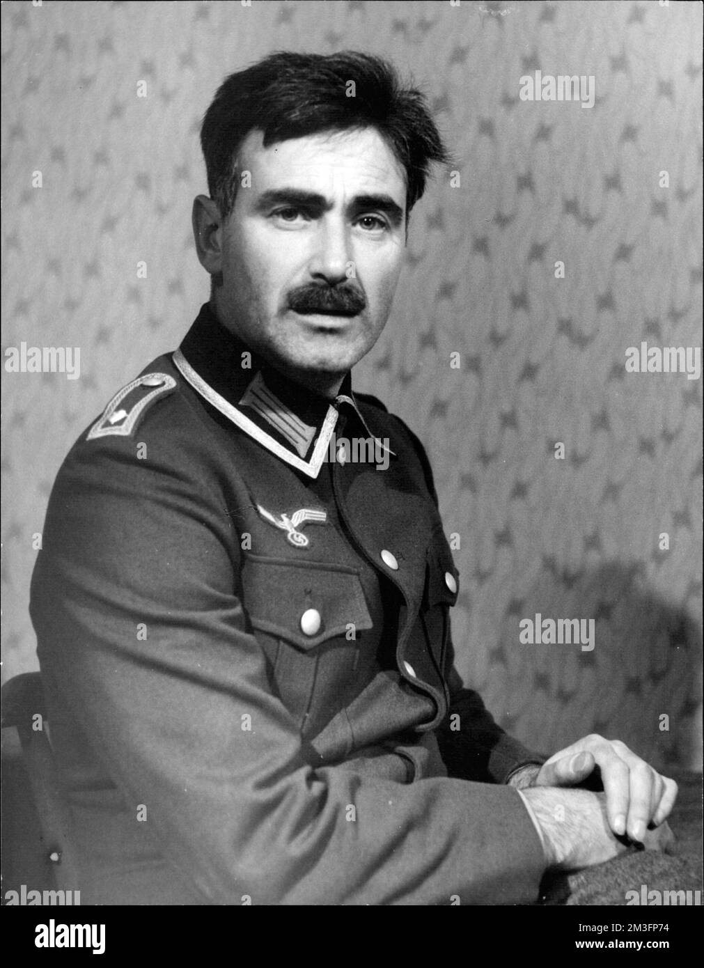 Feldwebel Schmidt Karl Michael Vogler als Feldwebel Schmid, Leiter