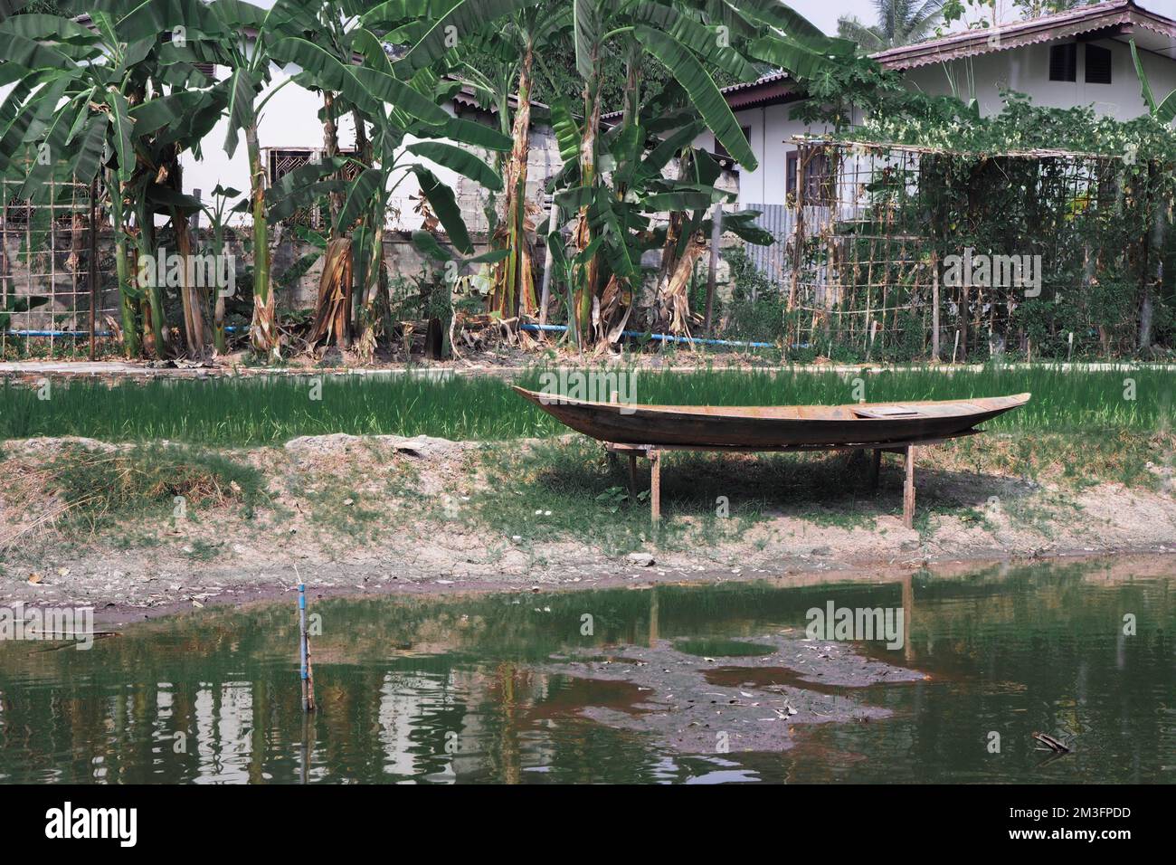 Old wooden boat on land and nature Stock Photo - Alamy