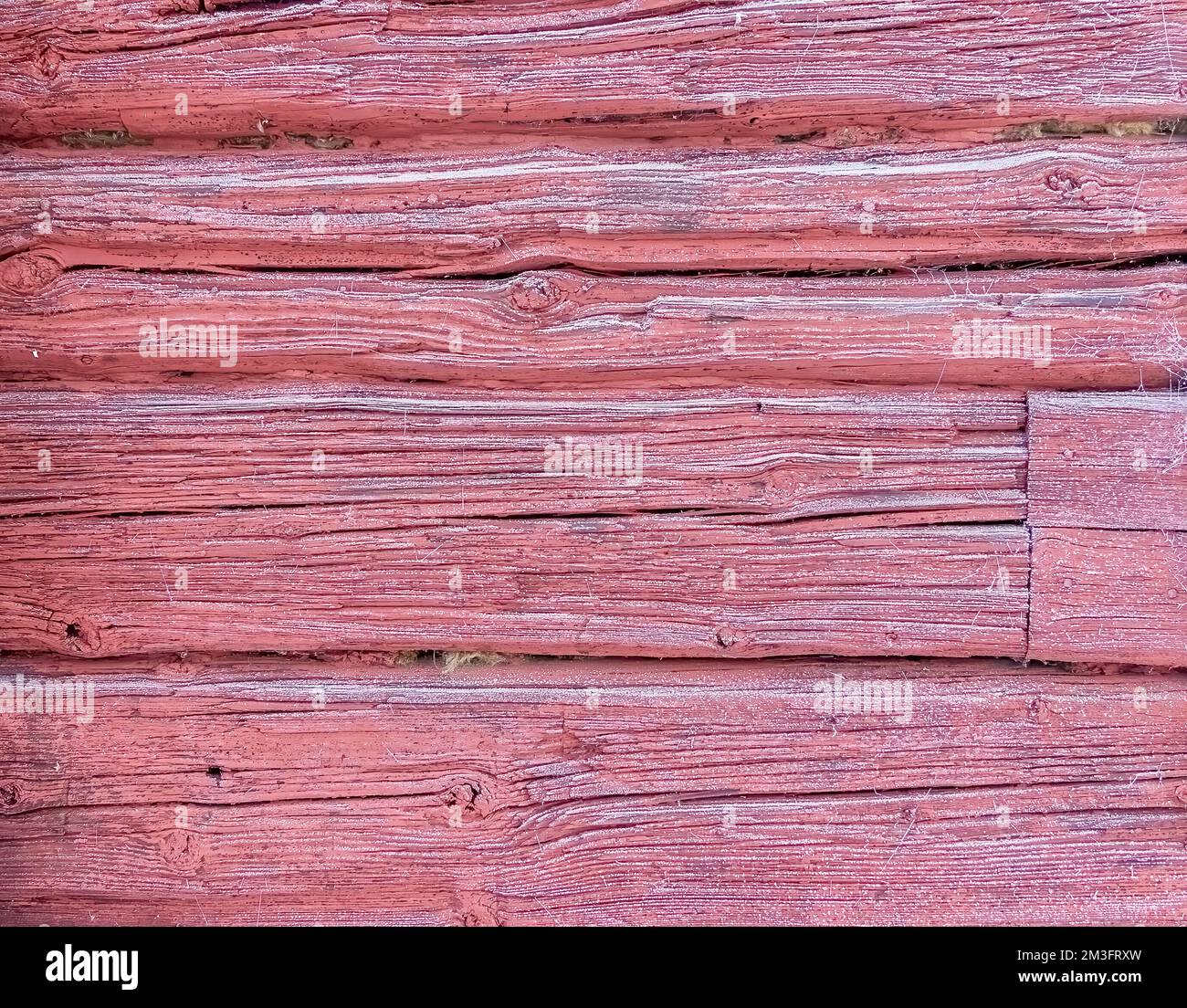 Patterns in nature can be found everywhere Stock Photo