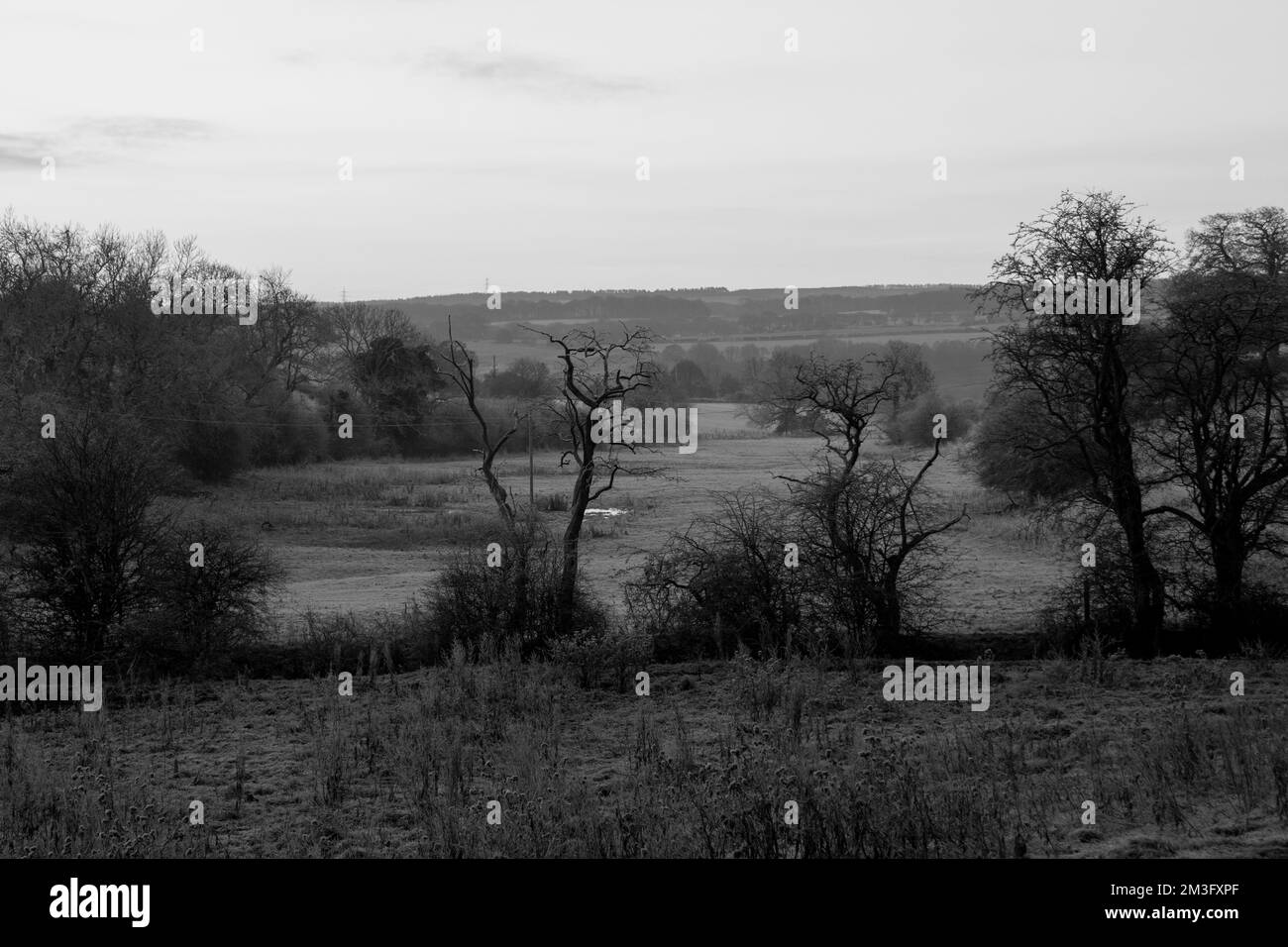 Black and white view of County Durham landscape in late autumn at sunrise Stock Photo