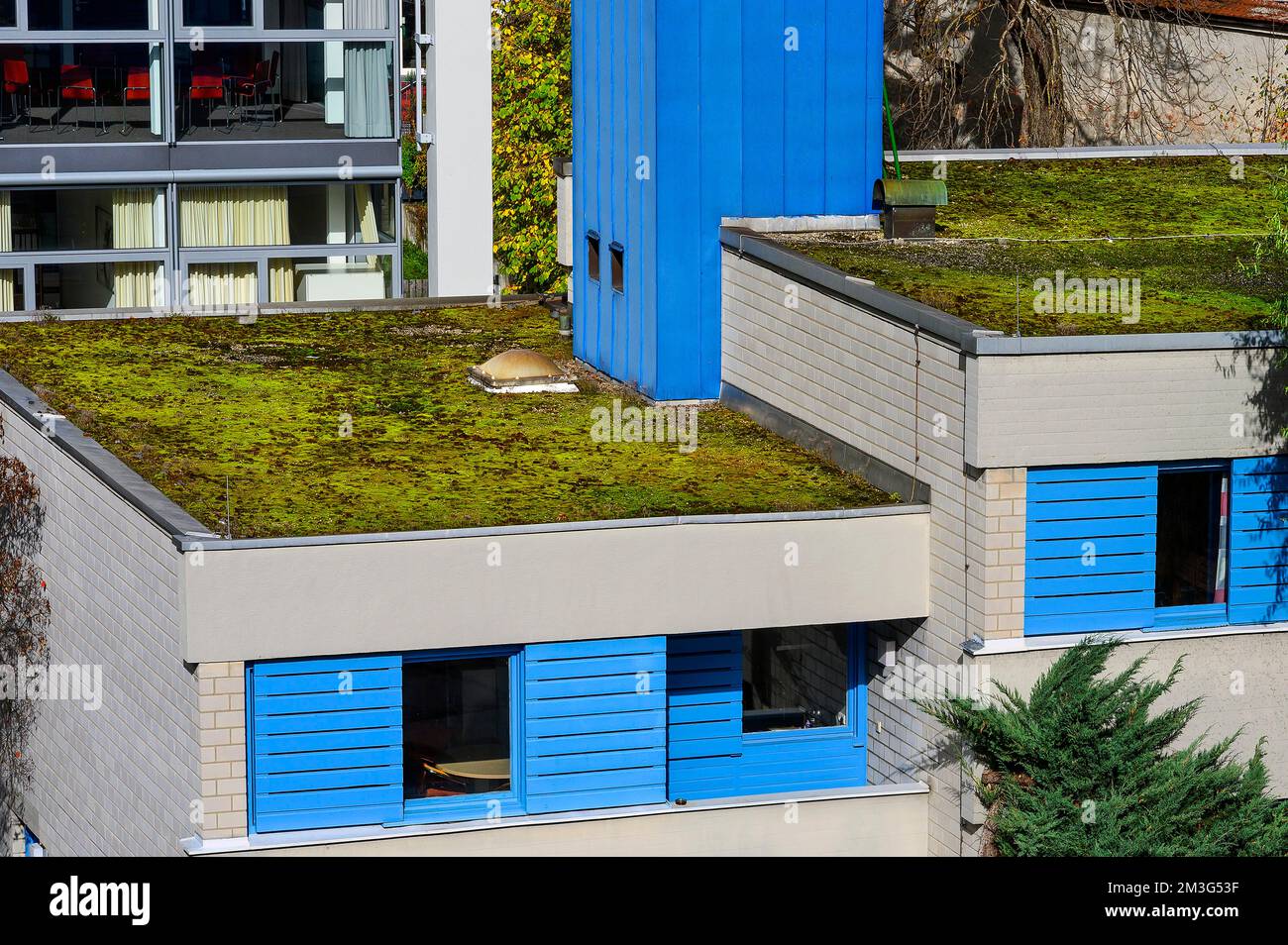 Flat roofs greened with moss, Kempten, Allgaeu, Bavaria, Germany Stock Photo