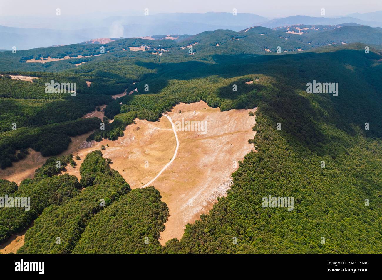 aerial view of green pine forest in italy Stock Photo - Alamy