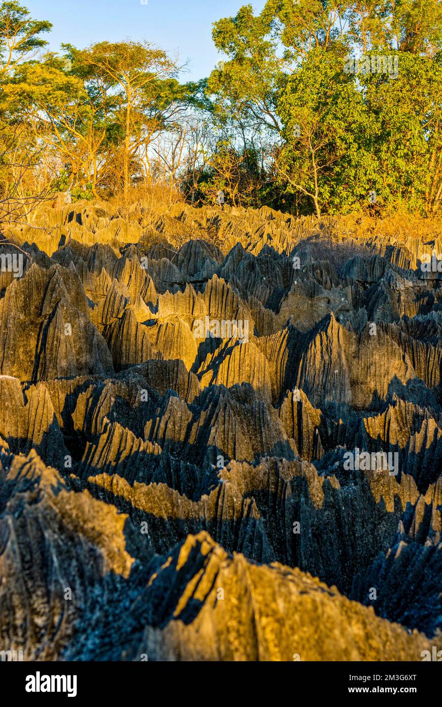 Unesco world heritage sight Tsingy de Bemaraha Strict Nature Reserve 