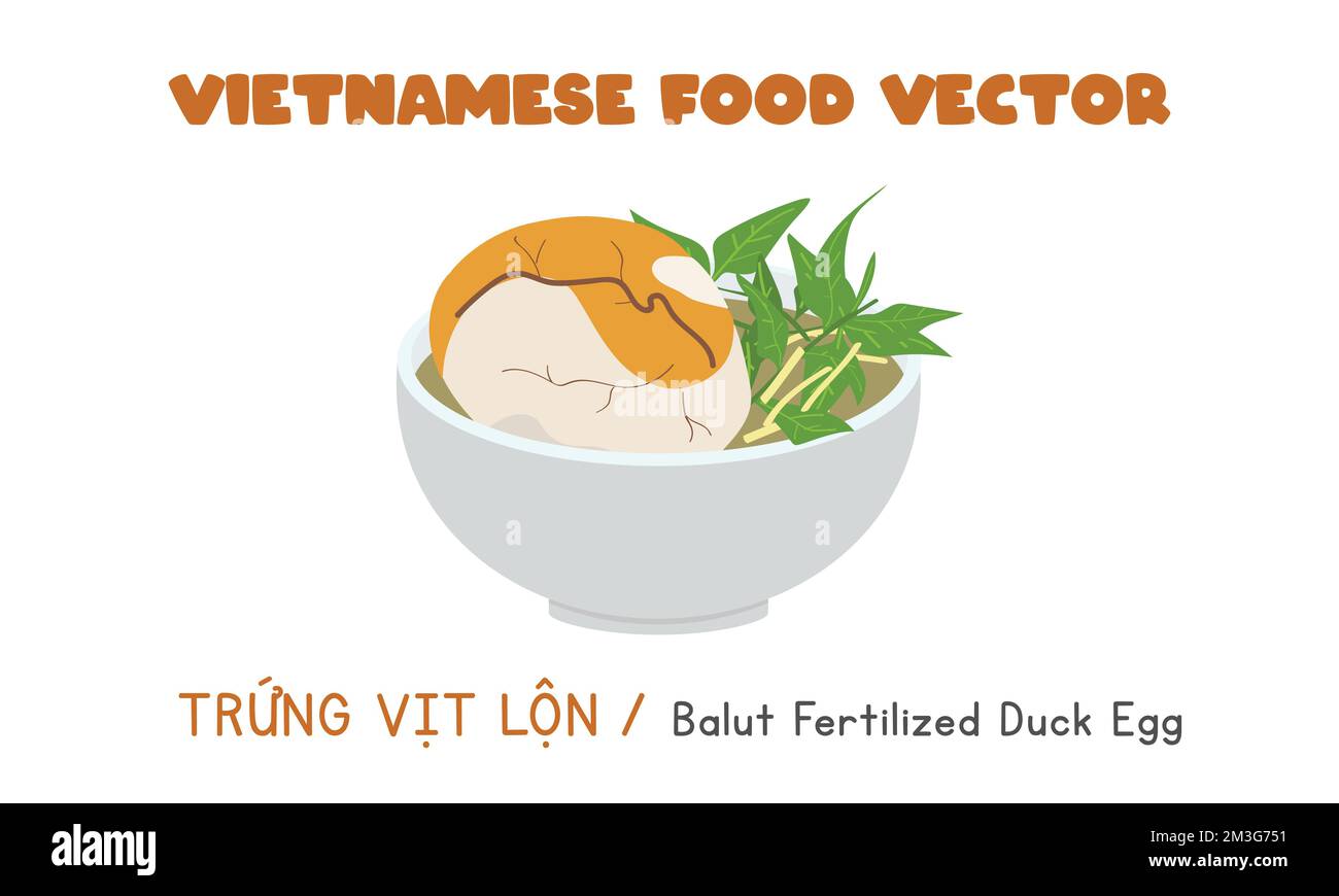 Vietnamese balut fertilized duck egg flat vector. Trung Vit Lon clipart cartoon. Asian food. Vietnamese cuisine. Vietnamese exotic food vector design Stock Vector
