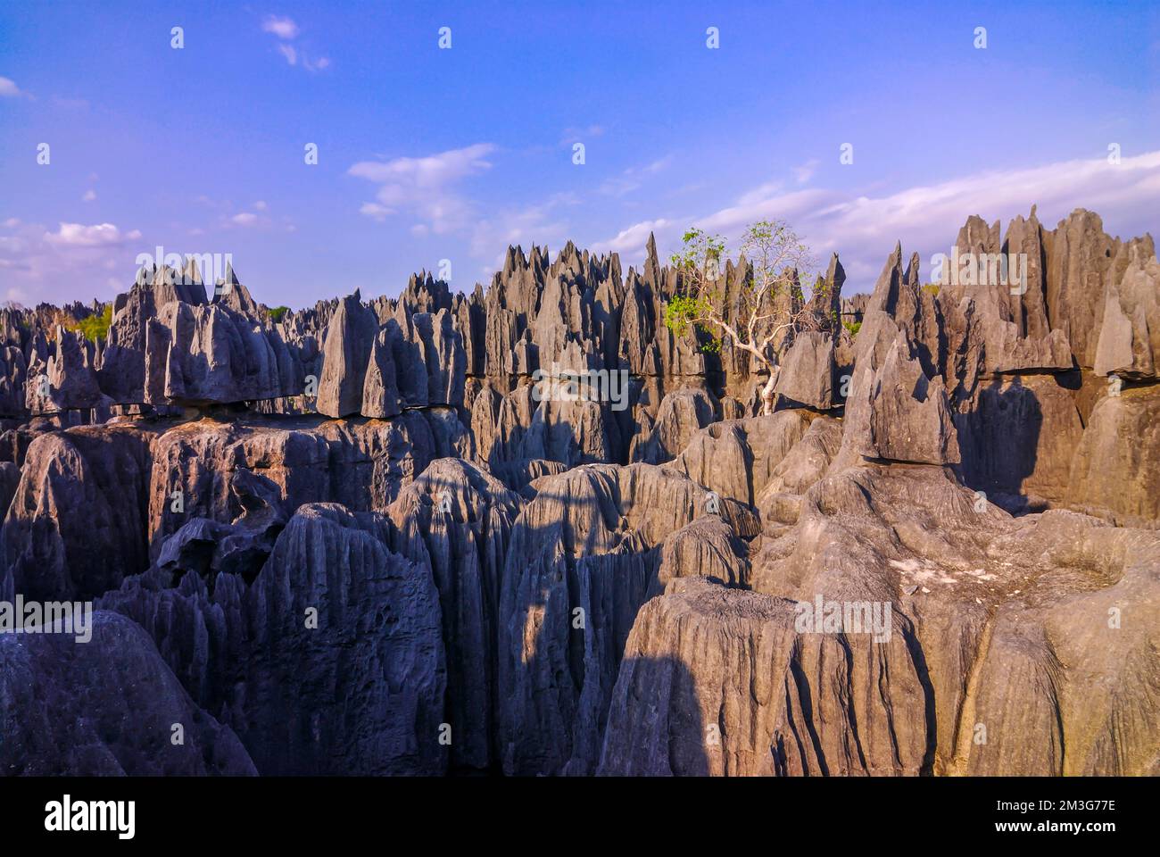 Unesco World Heritage Sight Tsingy De Bemaraha Strict Nature Reserve ...