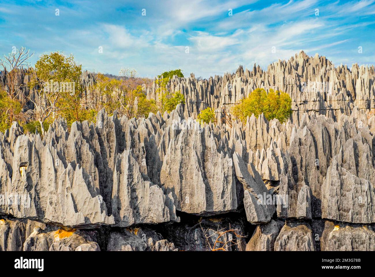 Unesco world heritage sight Tsingy de Bemaraha Strict Nature Reserve