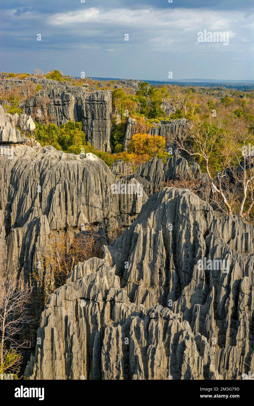 Unesco world heritage sight Tsingy de Bemaraha Strict Nature Reserve