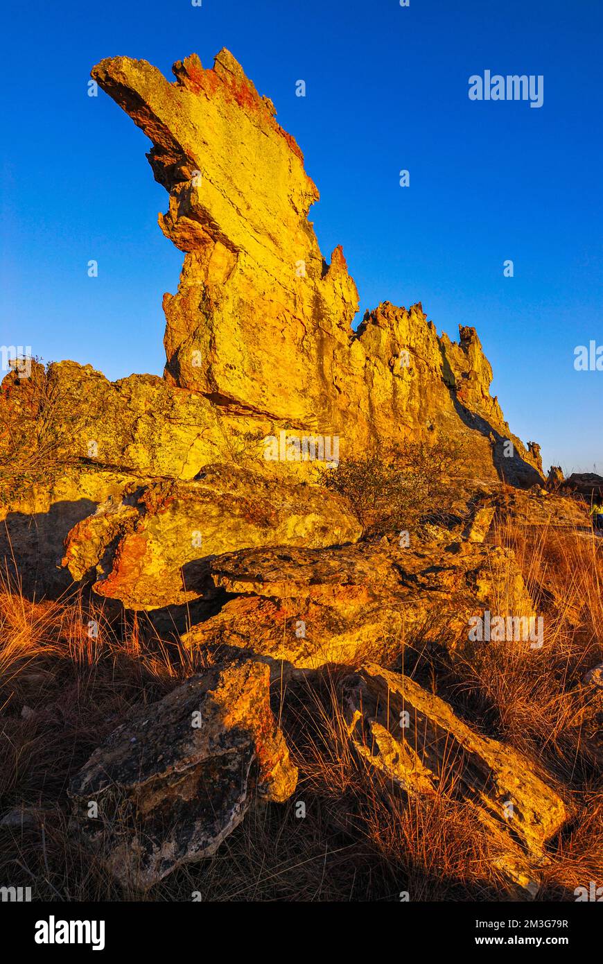Savannah and huge rock formations at sunset in the Isalo National Park ...