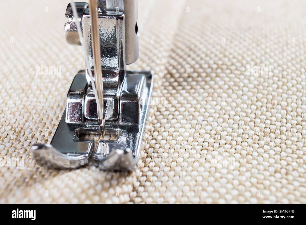 Sewing machine foot and item of clothing Stock Photo Alamy