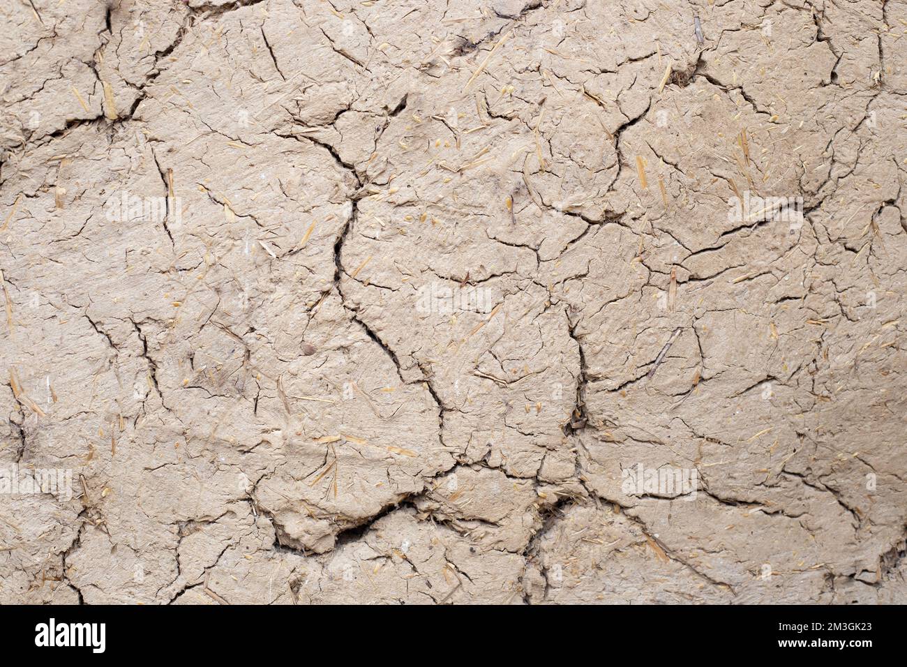 Texture of a cracked wall made of straw and clay. Background for text. Stock Photo