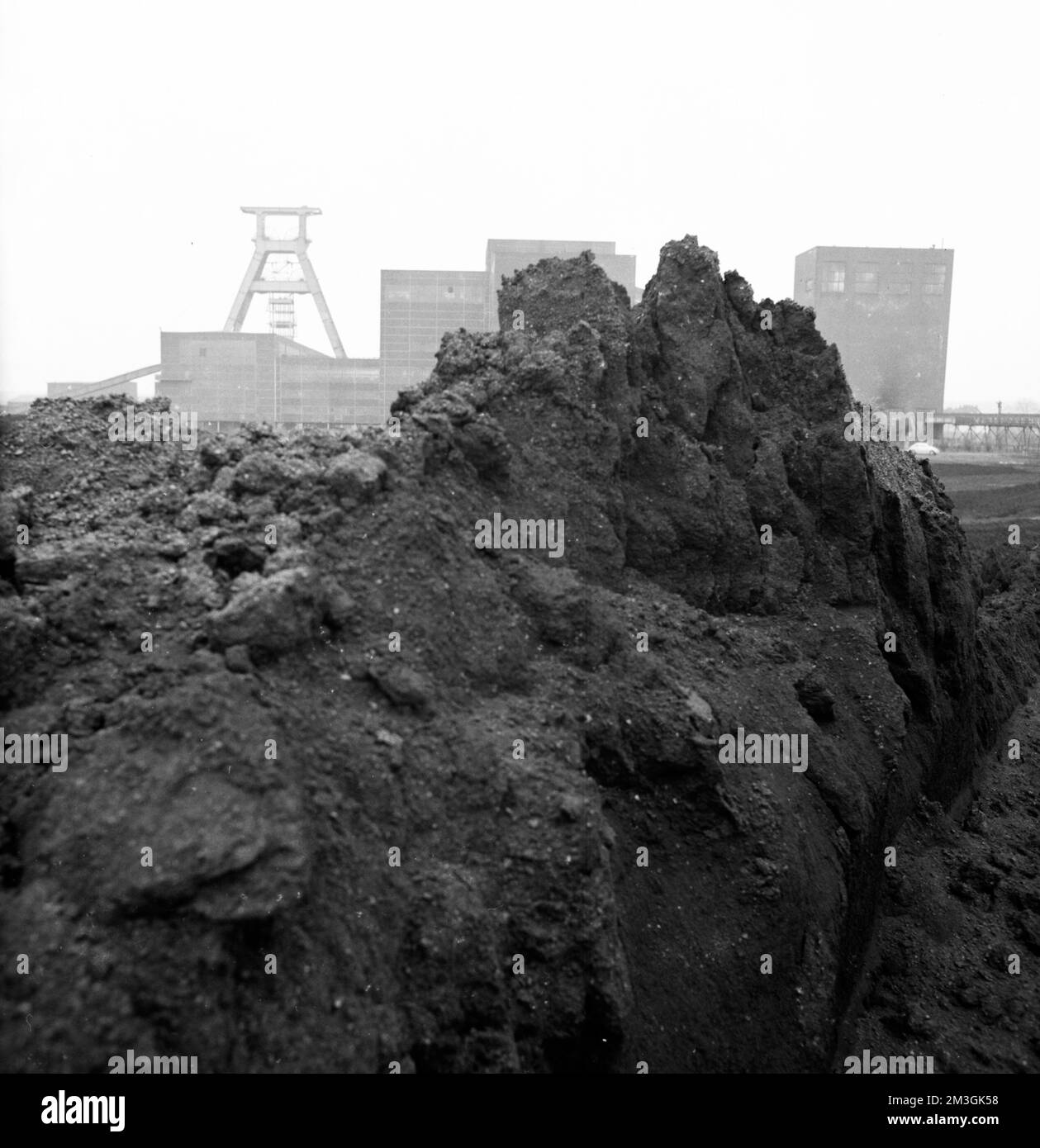 Source of cocaine hires stock photography and images Alamy