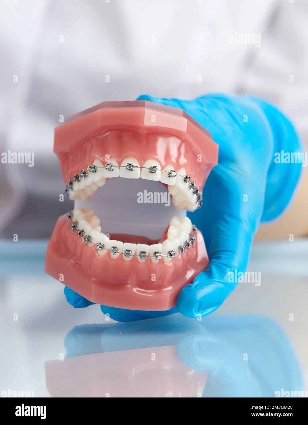 Doctor orthodontist showing model of human jaw with wire braces