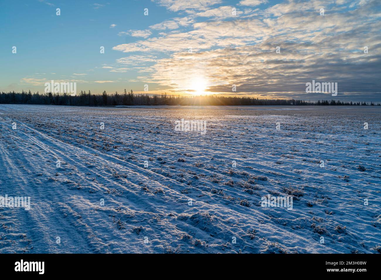 Sunset over winter fields in rural Canada. Stock Photo
