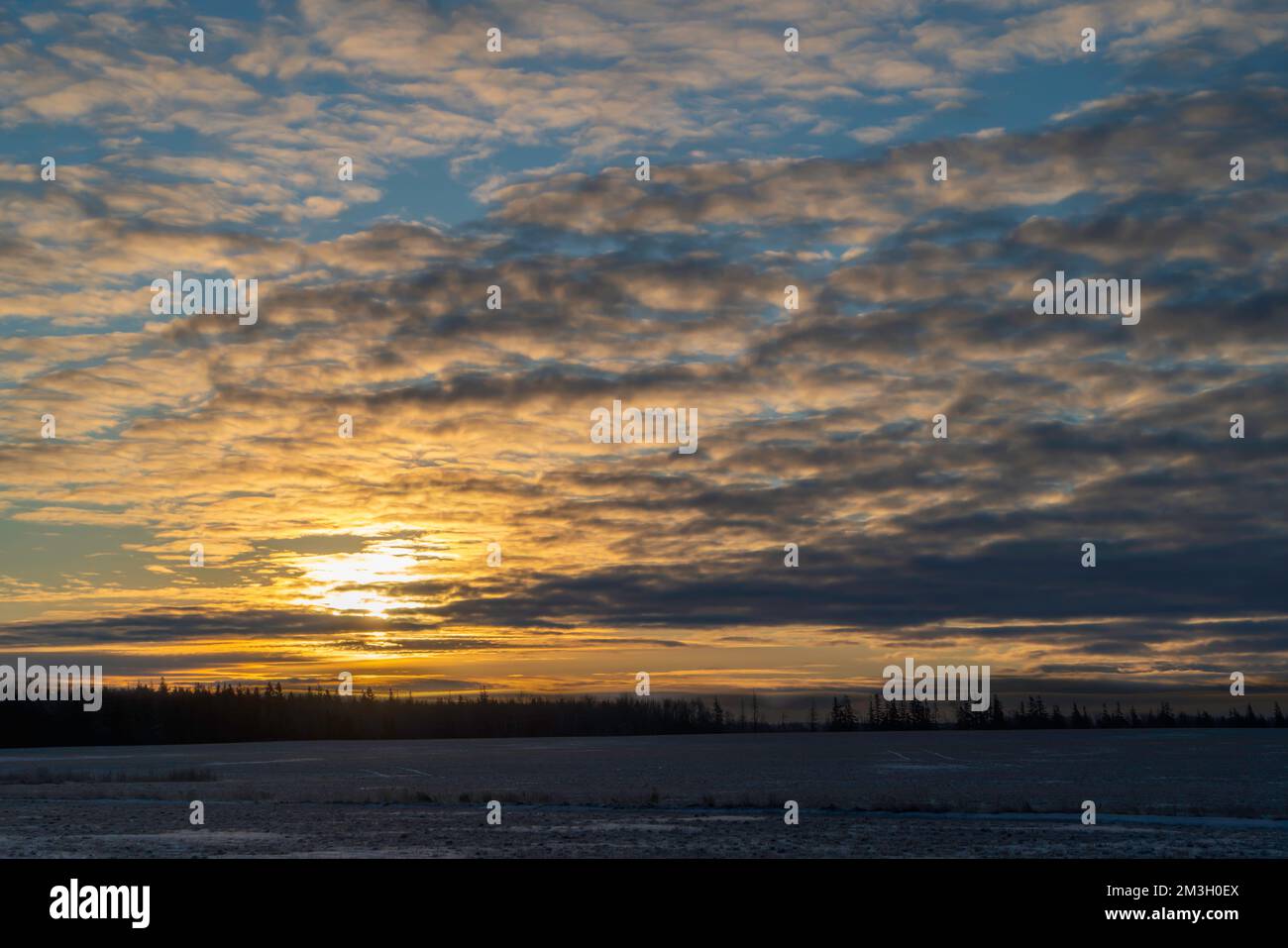 Sunset over winter farm fields in rural Canada. Stock Photo