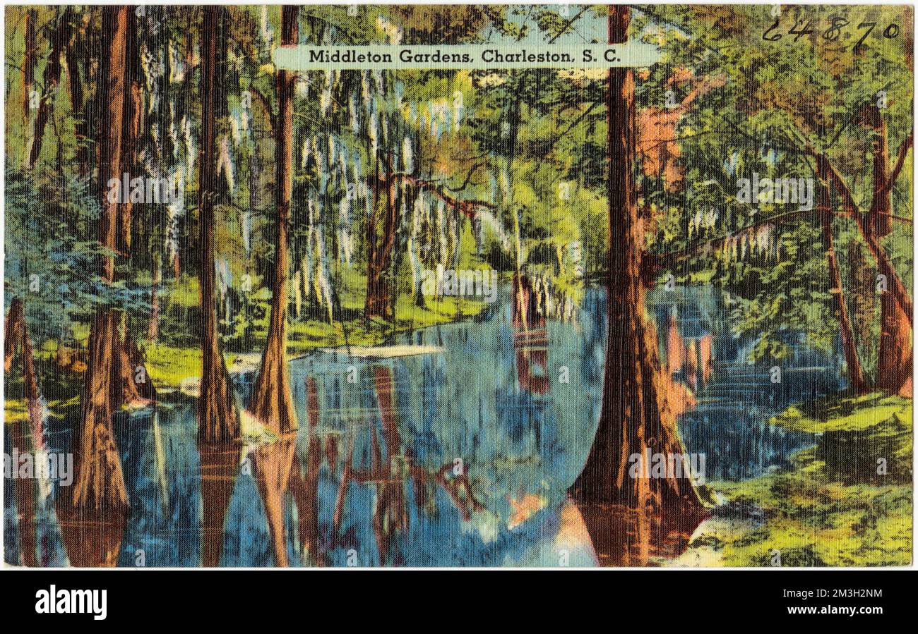 Middleton Gardens, Charleston, S. C. , Parks, Tichnor Brothers ...