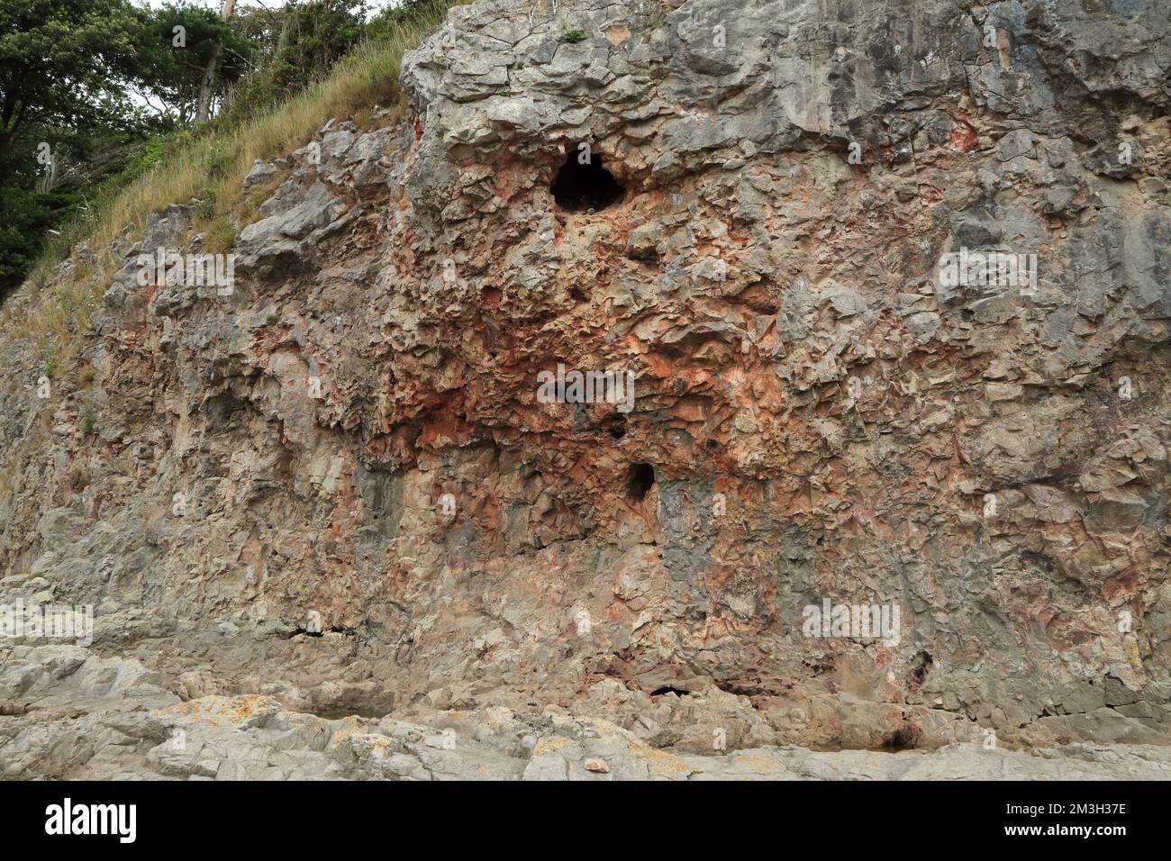 Water erosion in rock face on beach at Silverdale Cove, Silverdale ...