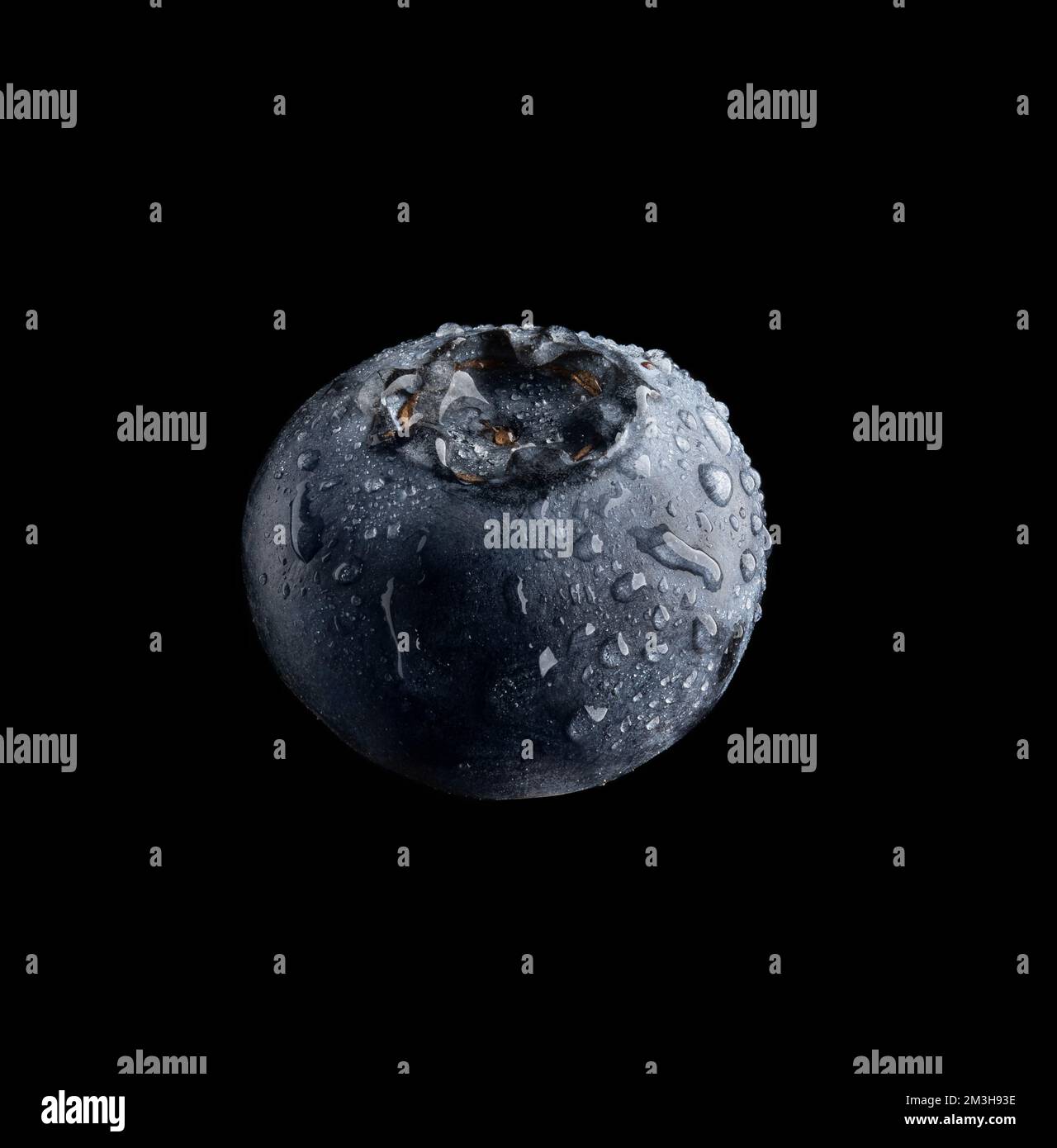 Beautiful fresh blueberry photographed close up isolated on a black background. Bilberry with