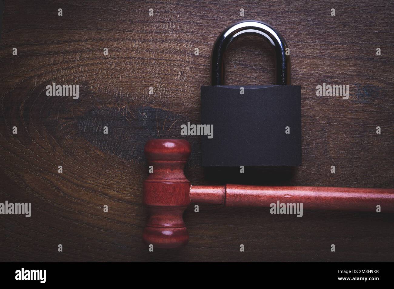 Seizure of property. Prohibition of registration. Bailiffs. Arrest in ...