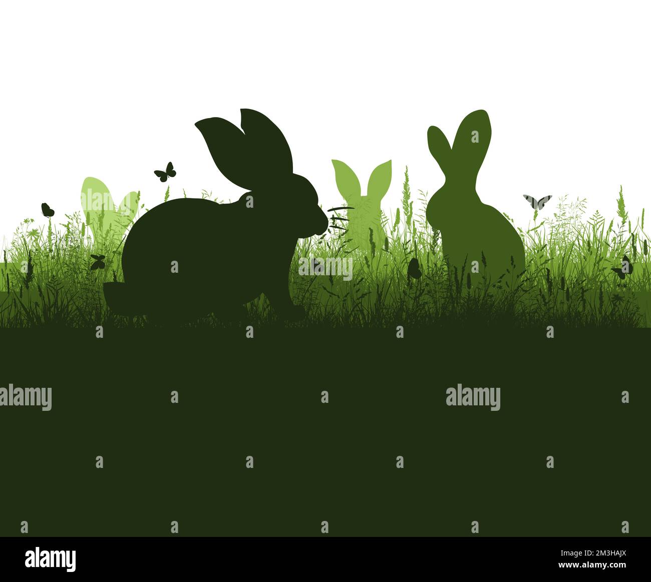Hares in the grass. Vector illustration Stock Vector Image & Art - Alamy