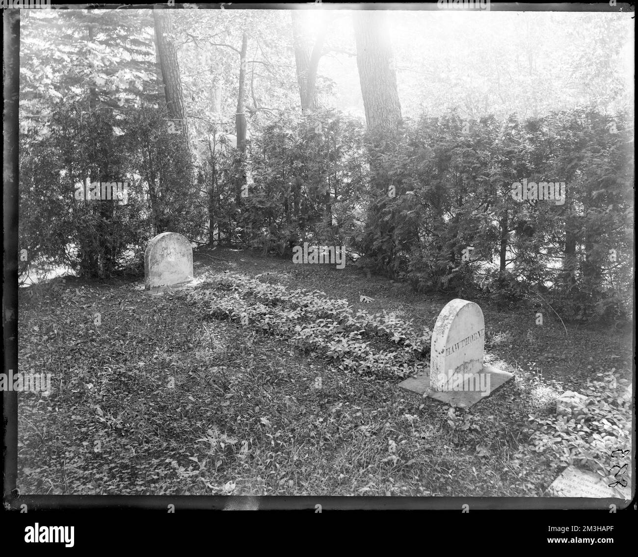 Monuments, Concord, Sleepy Hollow Cemetery, gravestone, Nathaniel