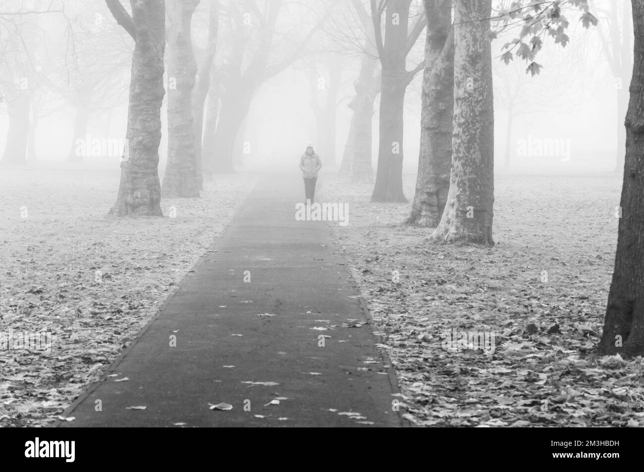 Thick fog in the early morning as people walking, jogger run in London Park Stock Photo