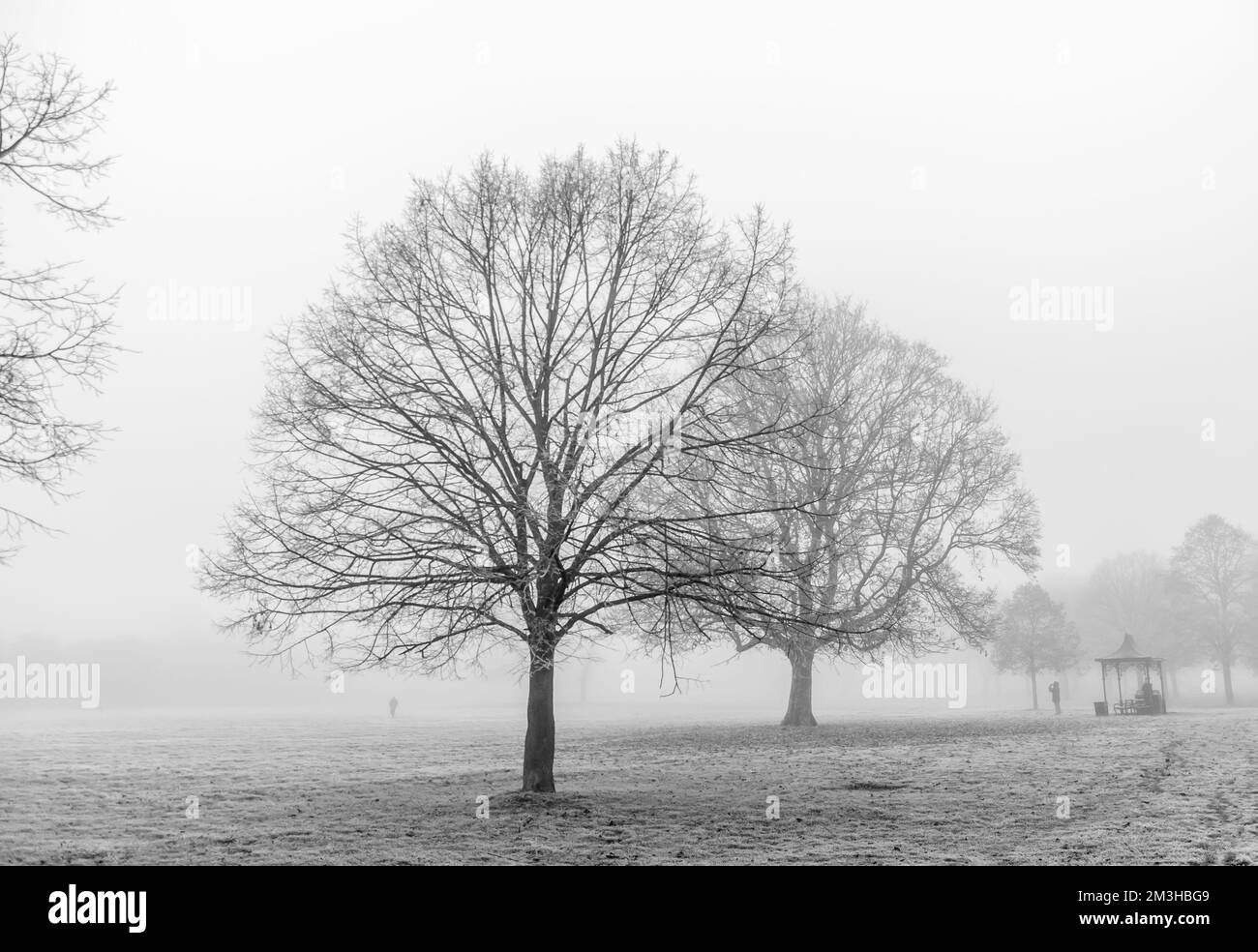 Thick fog in the early morning as people walking, jogger run in London Park Stock Photo