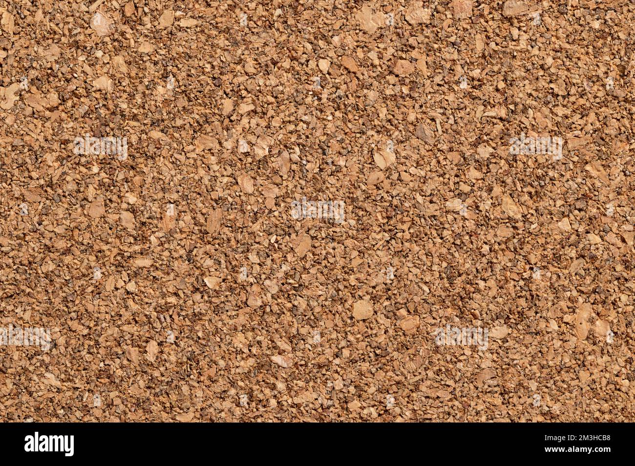Untreated cork panel, close-up of the coarse texture of rough grained cork oak, Quercus suber. Used as decorative panels and veneers. Stock Photo