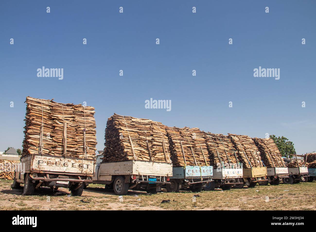 Wooden logs sorted and aligned at open market in Africa, selling timber for fire and households