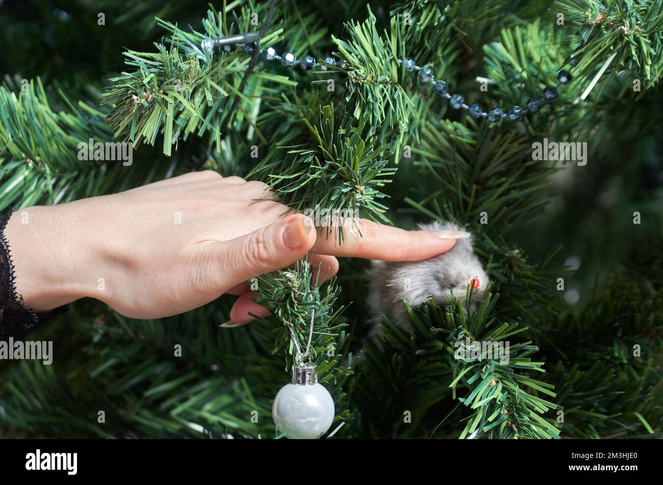 Close-up of female hands decorating a Christmas tree Stock Photo