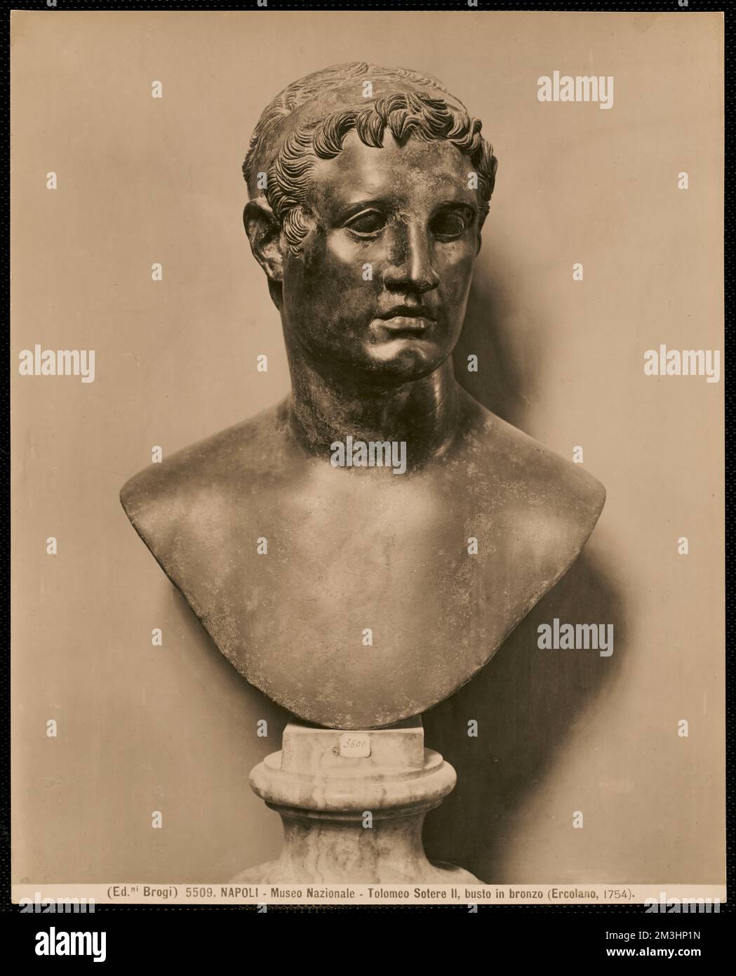 Ptolemy ii philadelphus hi-res stock photography and images - Alamy