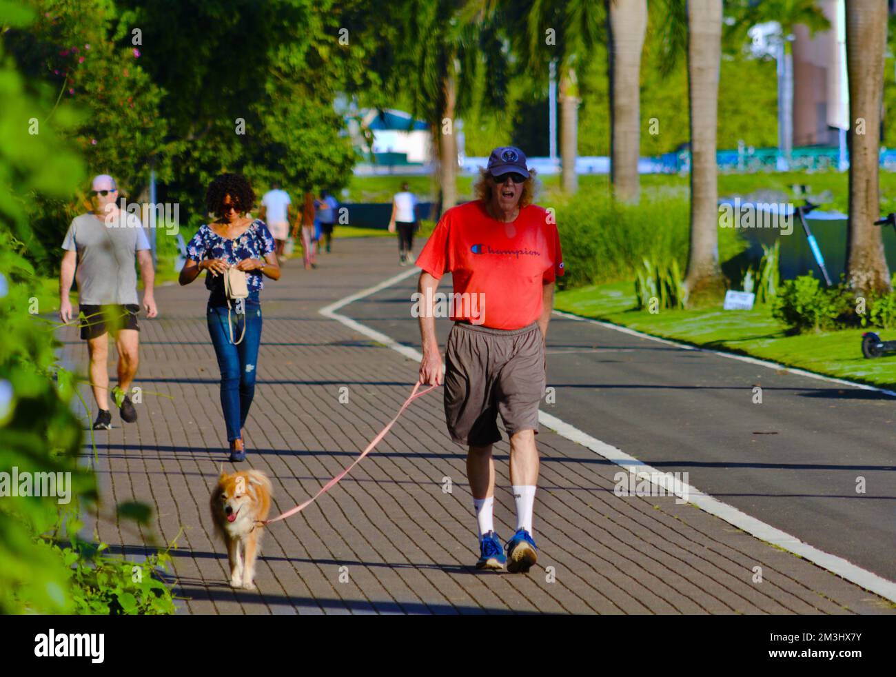 A closer look at Did Recreational Walk