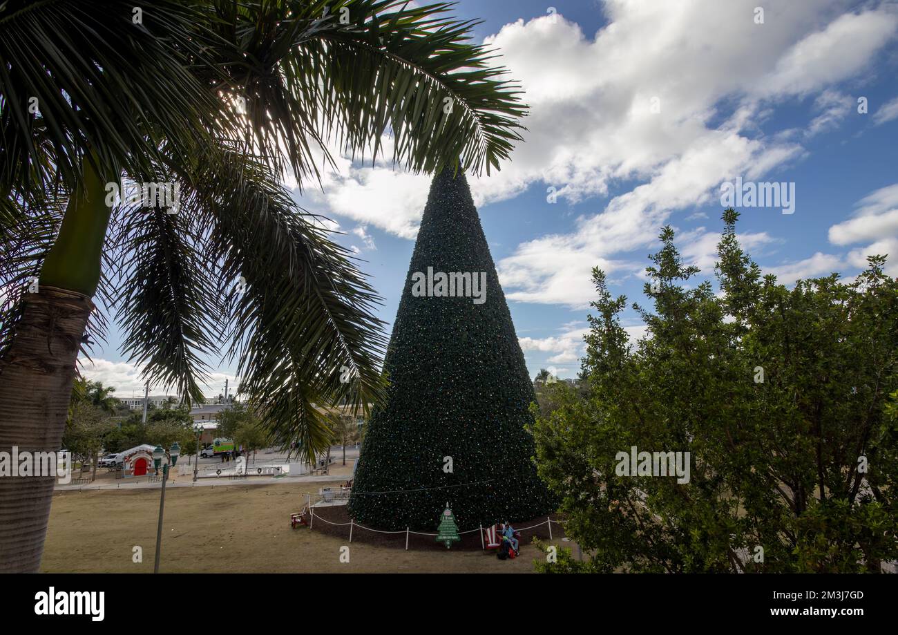 The magnificent 100ft Christmas Tree in Delray Beach, Florida, USA Stock Photo