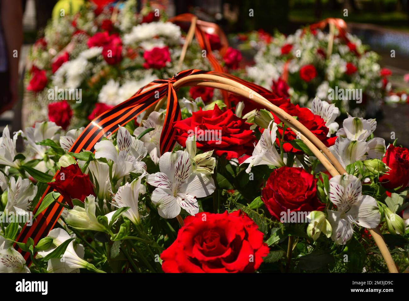 Basket with red rose and lily flowers Saint George ribbon Stock Photo ...
