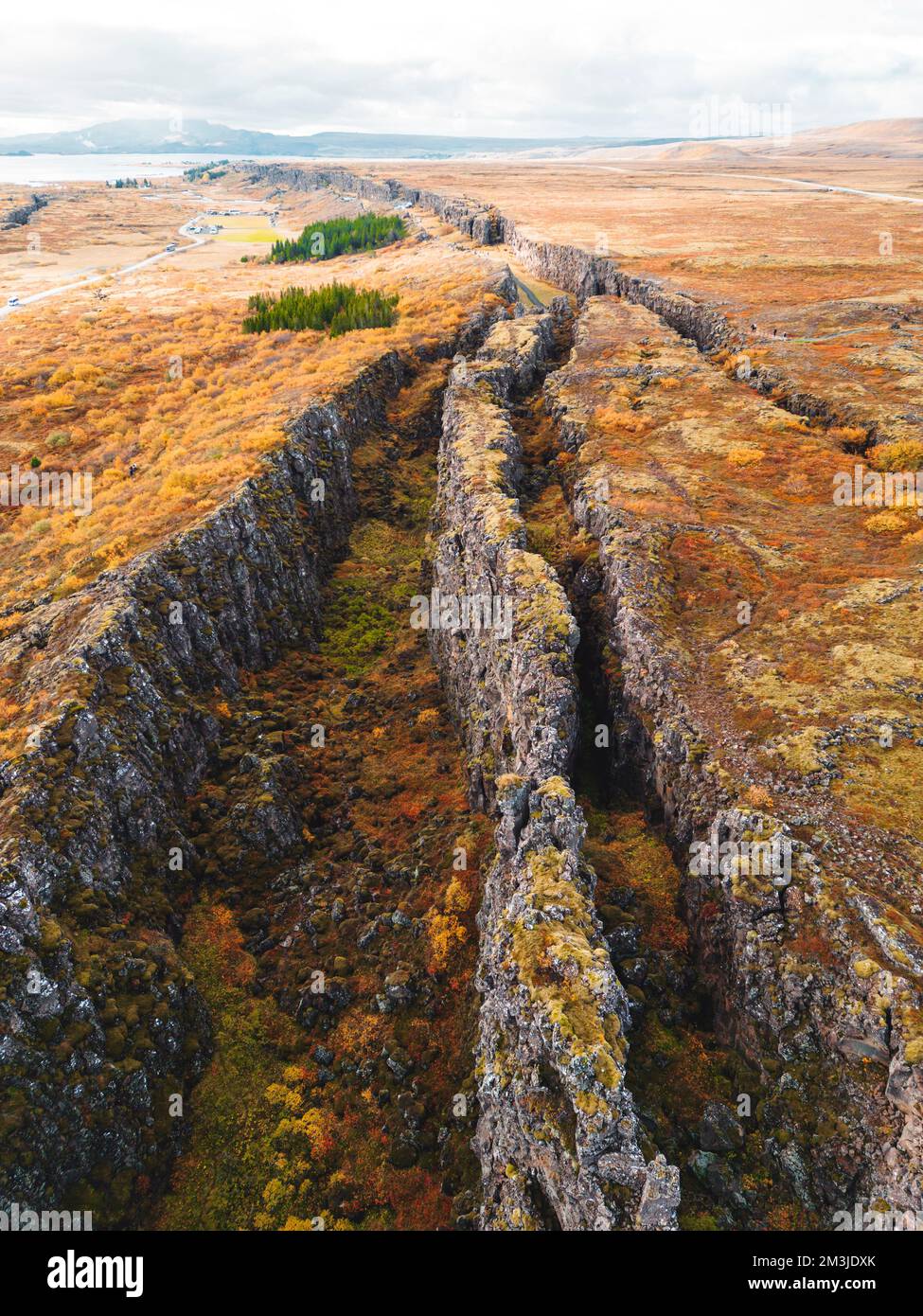 Autumn red folliage covering the landscape in Thingvellir National Park Stock Photo
