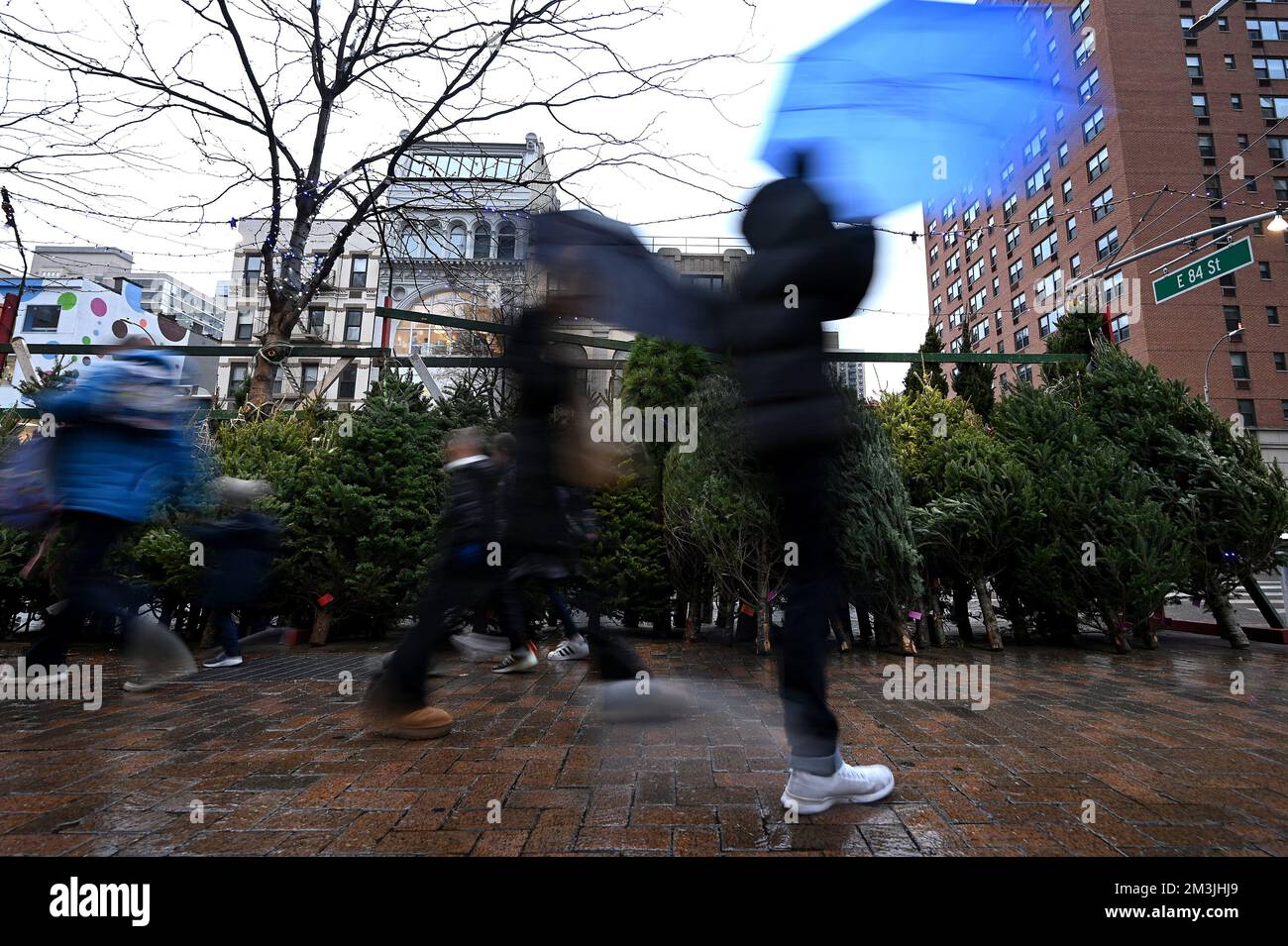 Rainy day - Photographic print for sale