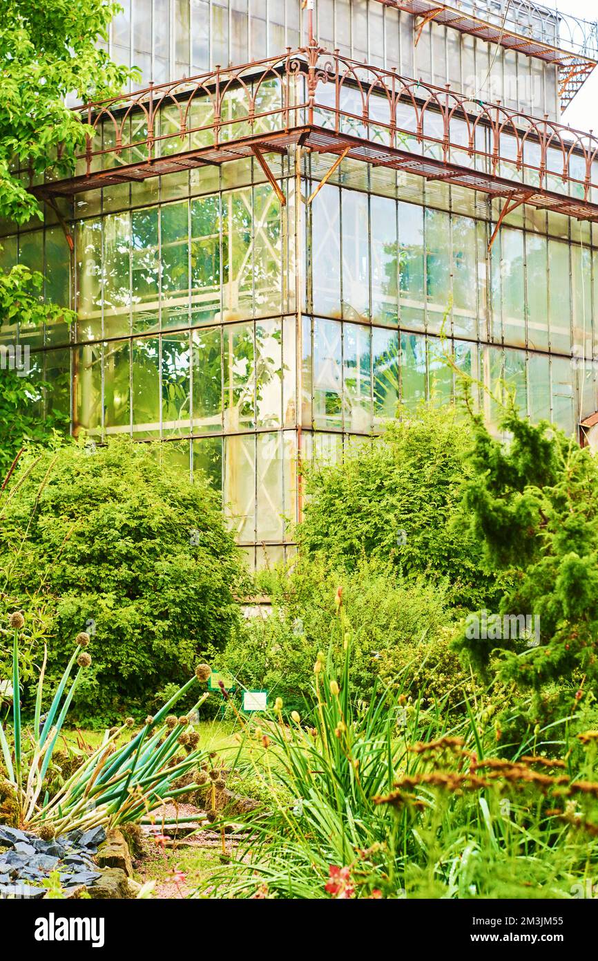 Greenhouse in the public garden Stock Photo Alamy