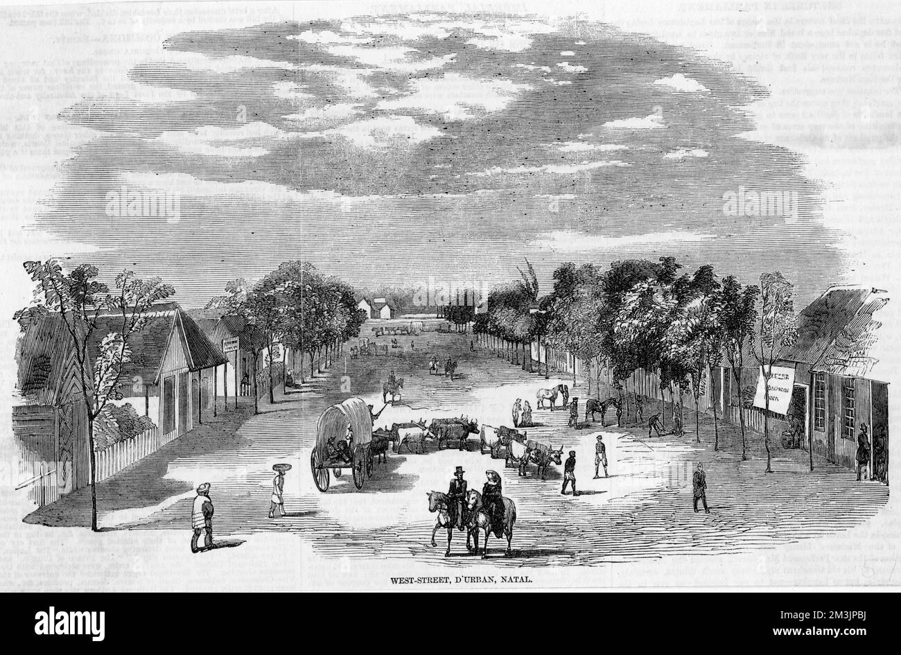 West Street : the town was  then named D'Urban (Natal).         Date: 1857 Stock Photo