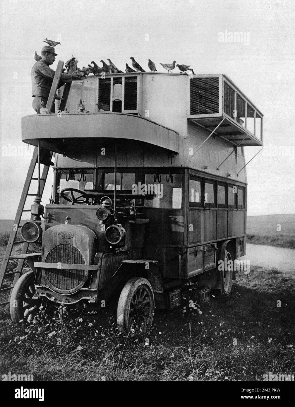 A motor bus converted into a home, or cote, for French carrier pigeons.  Pigeons, along with dogs, proved to be a vital method of communication during battles.  Around 100,000 pigeons were used during World War I with 95% of messages successfully reaching their intended recipient.  1915 Stock Photo