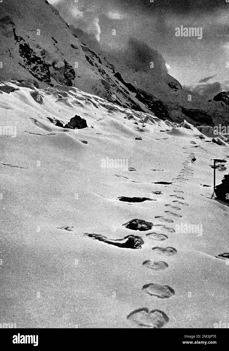 A track made by a langur bounding along and placing all four feet together, or by a bear? The footprints of the abominable snowman in the Himalayan snow. A puzzling find by members of a expedition in 1951.  1951 Stock Photo