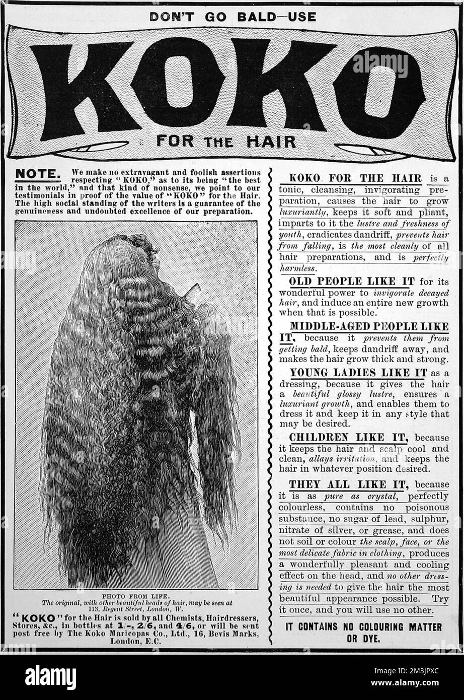Advertisement for Koko hair tonic entitled, 'Dont go bald - use Koko for the Hair' showing an illustration (taken from a life photograph) of a woman's lustrous and abundant head of hair.     Date: 1899 Stock Photo