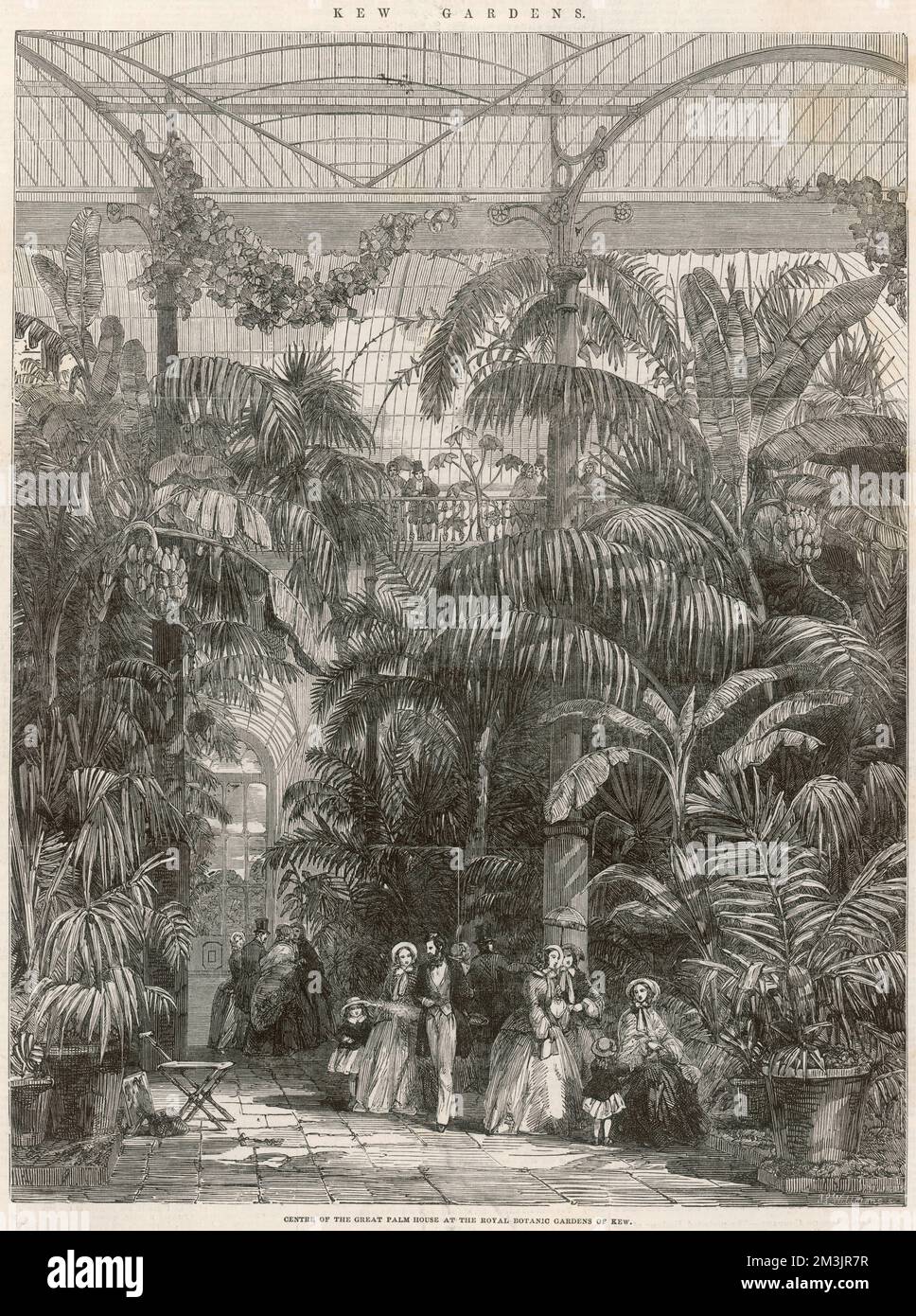 Interior of the Palm House at Kew Gardens in 1852. Built by the Irish engineer, Richard Turner and architect, Decimus Burton between 1844-1848, the glasshouse was an extraordinary feat of engineering and remains today an iconic building and the world's most important surviving Victorian glass and iron structure.  1852 Stock Photo