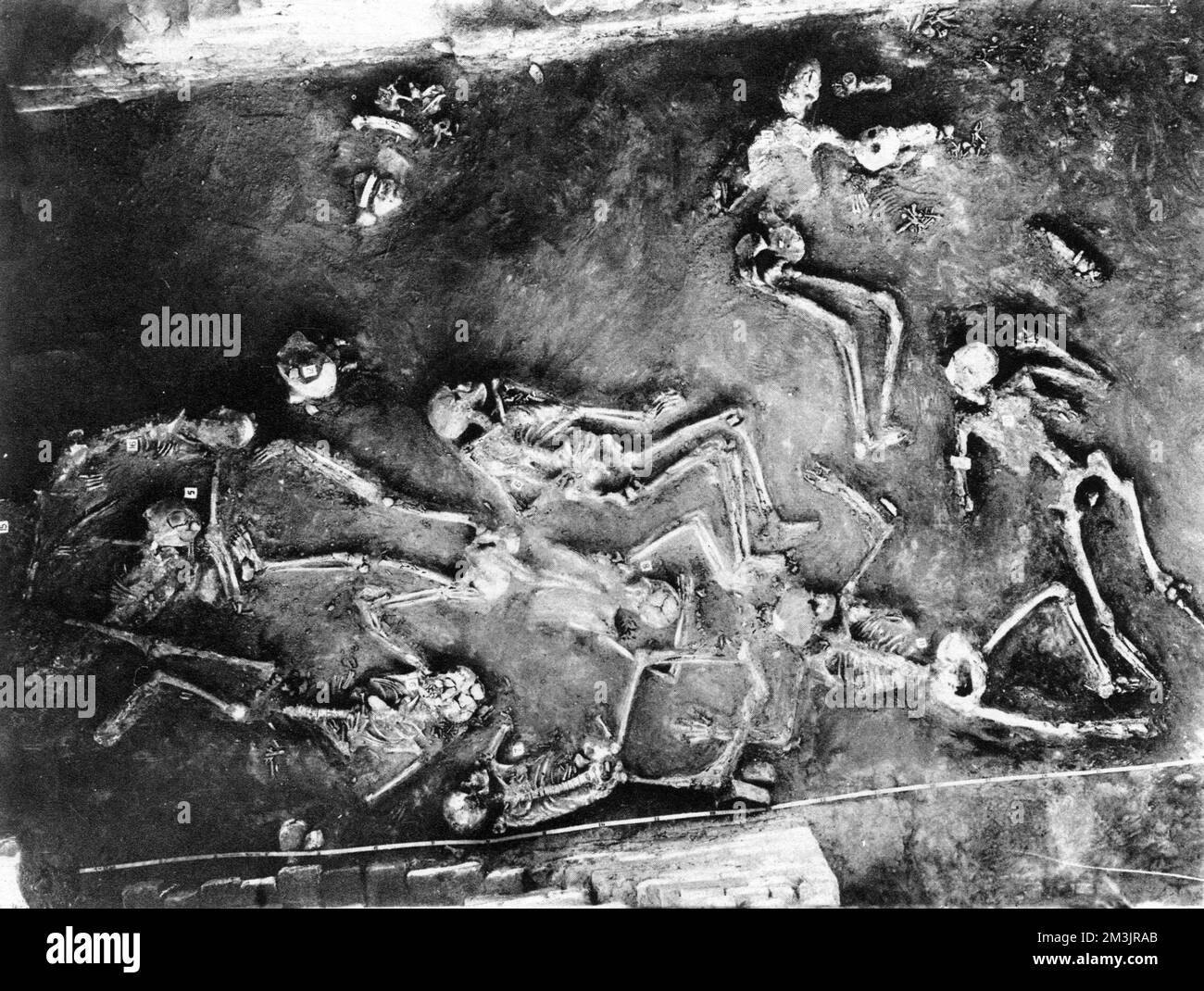 Large groups hi-res stock photography and images - Alamy